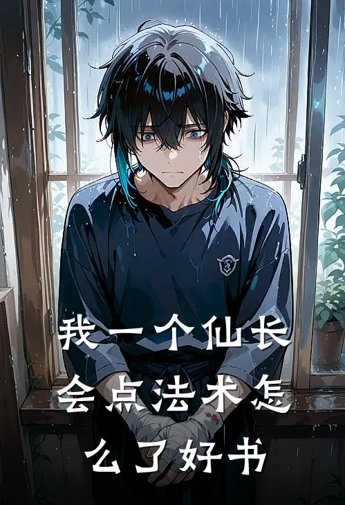 我一个仙长，会点法术怎么了好书