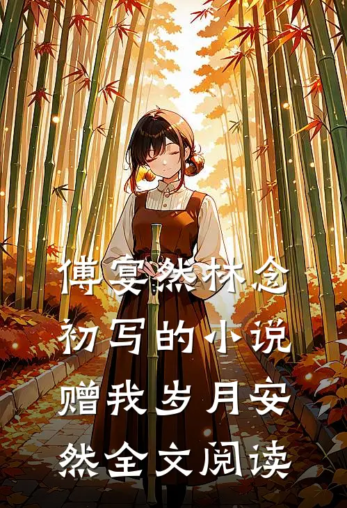 傅宴然林念初写的小说赠我岁月安然全文阅读