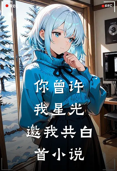 你曾许我星光，邀我共白首小说