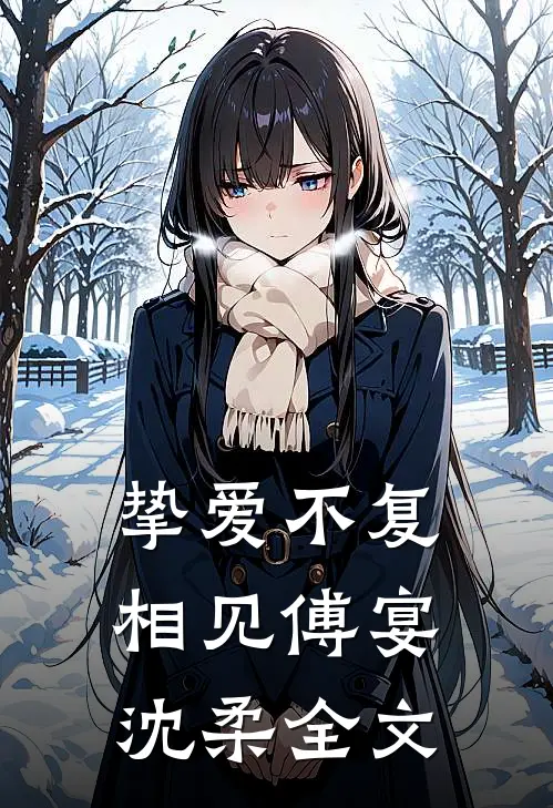 挚爱不复相见傅宴沈柔全文