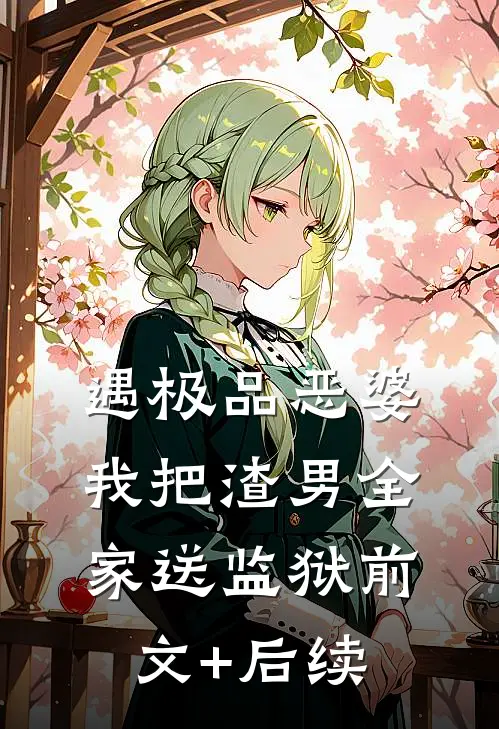 遇极品恶婆，我把渣男全家送监狱前文+后续
