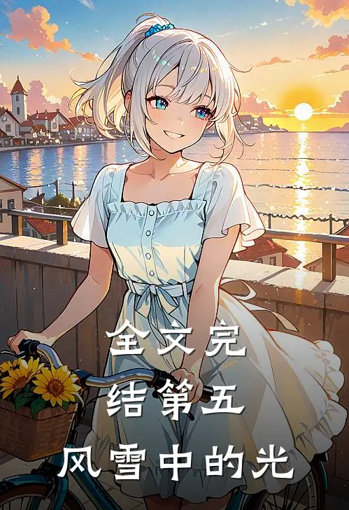 全文完结第五：风雪中的光