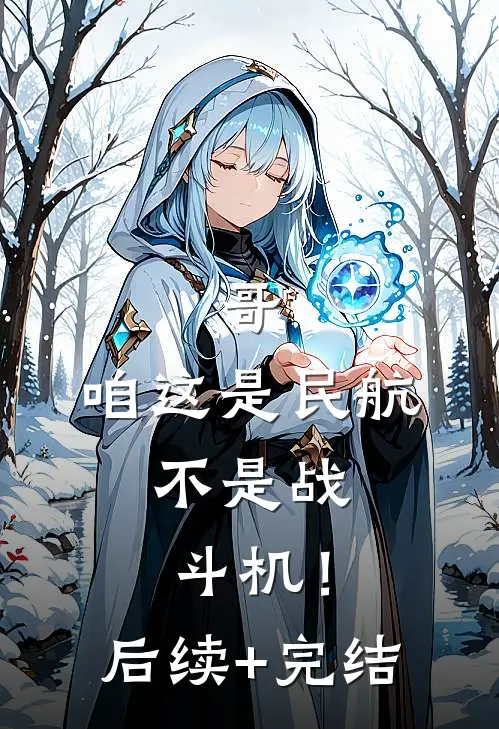 哥，咱这是民航，不是战斗机！后续+完结
