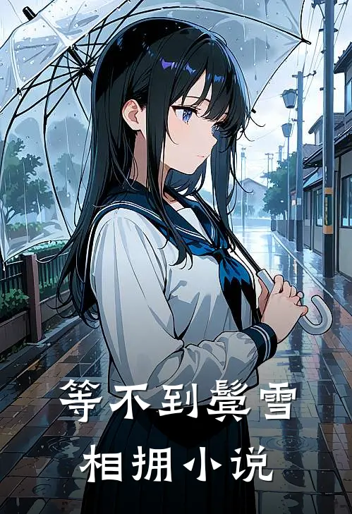 等不到鬓雪相拥小说