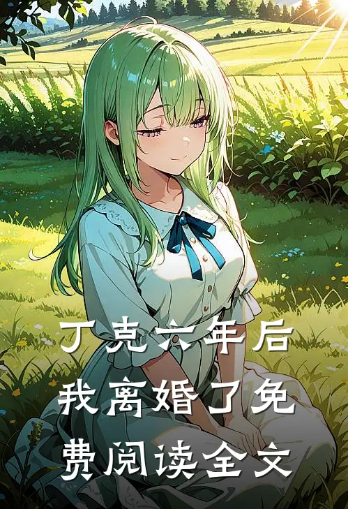 丁克六年后，我离婚了免费阅读全文