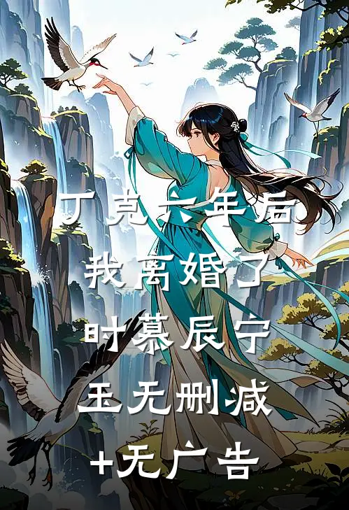 丁克六年后，我离婚了时慕辰宁玉无删减+无广告