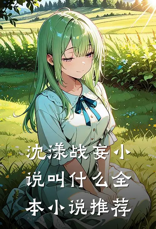 沈漾战妄小说叫什么全本小说推荐