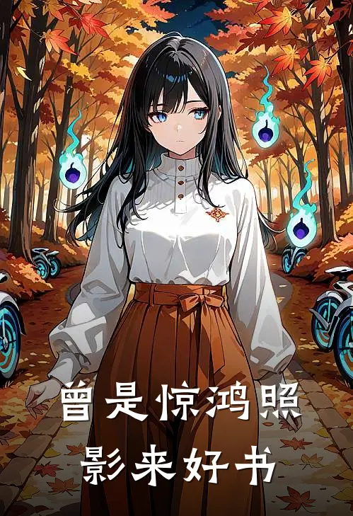曾是惊鸿照影来好书