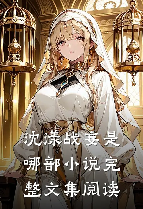 沈漾战妄是哪部小说完整文集阅读