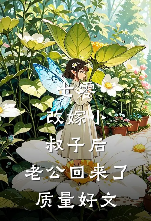 七零：改嫁小叔子后，老公回来了质量好文